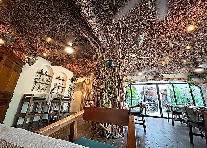 Enigmatic Experience 4* Puerto Morelos